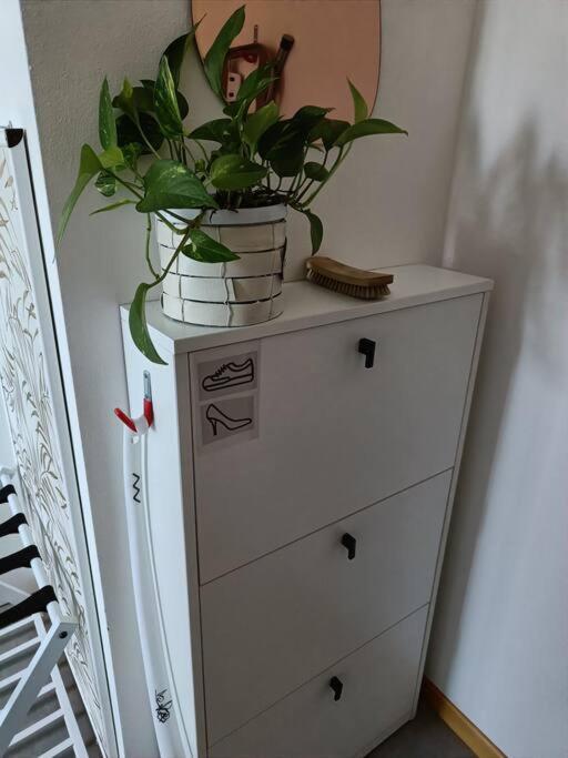 Art-Apart Lt Appartamento Con Giardino Privato Padwa Zewnętrze zdjęcie